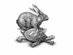Hare & tortoise art